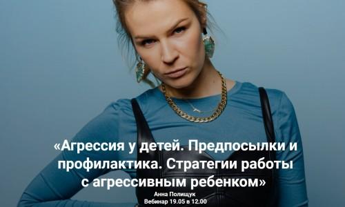 Агрессия у детей. Предпосылки и профилактика. Стратегии работы с агрессивным ребенком [Анна Полищук]