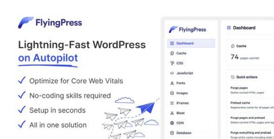 FlyingPress 5.6.3 – Lightning-Fast WordPress on Autopilot