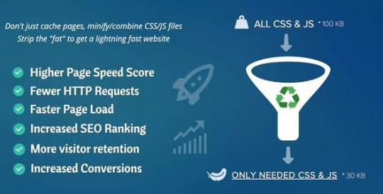Asset CleanUp Pro 1.2.7.5 – Performance WordPress Plugin