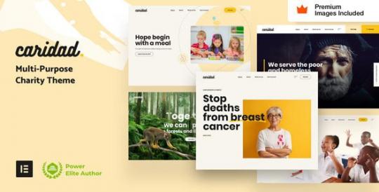 Caridad 47 – Charity WordPress Theme