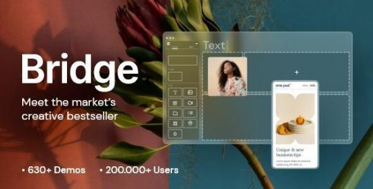 Bridge 30.8.9 – тема WordPress для Creative Elementor и WooCommerce