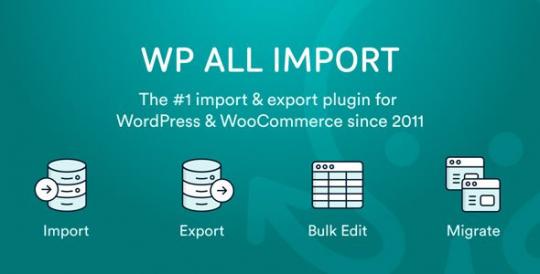 WP All Import – ACF Add-On 4.0.2