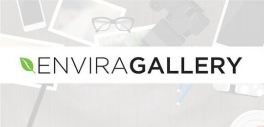 Envira Gallery 1.14.0 + Addons – WordPress Gallery Plugin