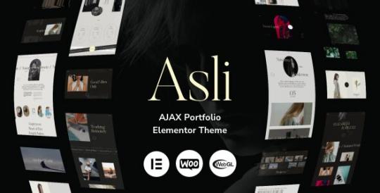 Asli 1.9.13 – Тема WordPress для портфолио на AJAX от Elementor