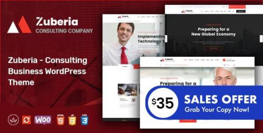 Zuberia 2.2 – Тема WordPress для консалтинговых услуг в сфере бизнеса