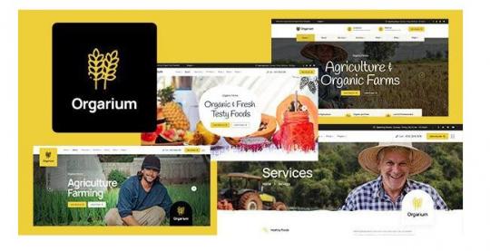 Orgarium 1.2.3 – Тема WordPress для сельского хозяйства и органического земледелия