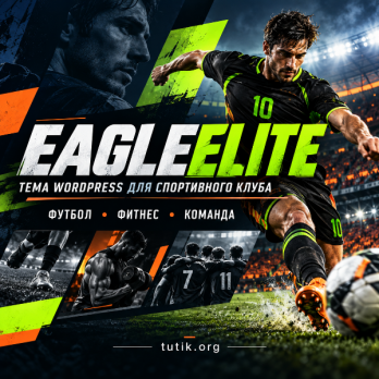 EagleElite 33 – Тема WordPress для спортивного клуба