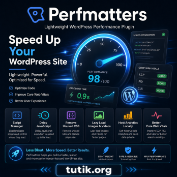 Perfmatters 2.6.6 – Lightweight WordPress Performance Plugin