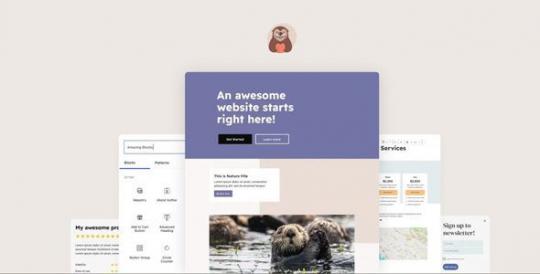Otter Blocks Pro 3.2.0 – WordPress Block Editor Plugin