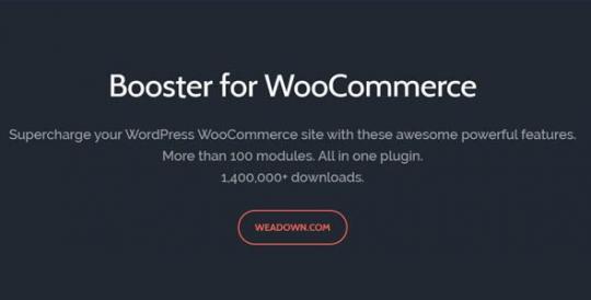 Booster Plus for WooCommerce 8.1.0