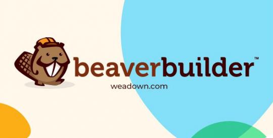 Beaver Builder Pro 2.10.3 + Beaver Themer Plugin 1.5.2.3 – WordPress Page Builder Plugin